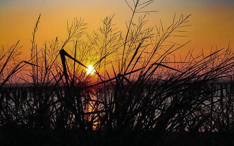 ‘Silhouette Sunrise’ by Summer Koltonski