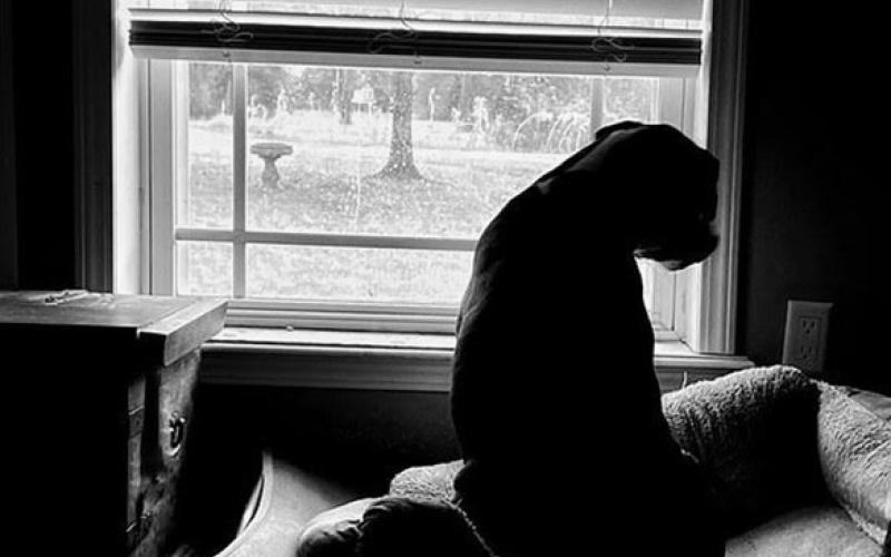 ‘Waiting For Papaw’ by Charley Cantrell