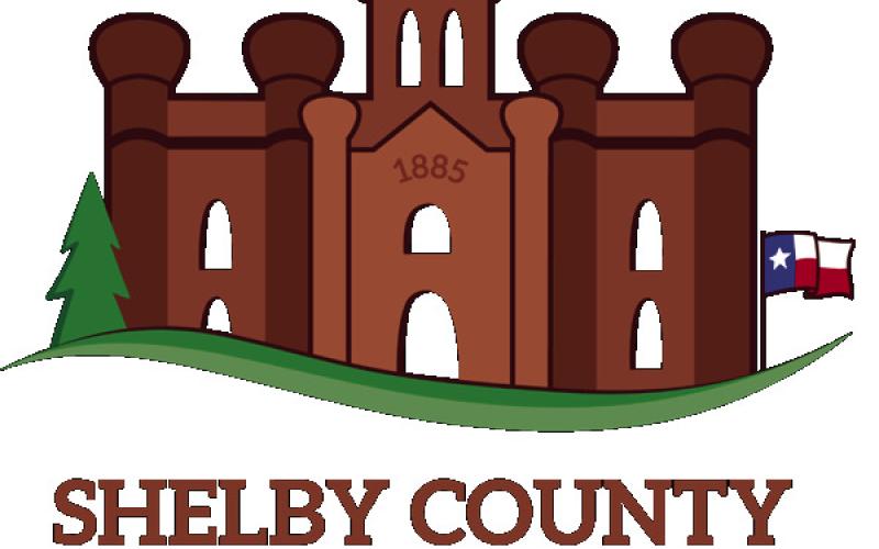 Leadership Shelby County applications ready