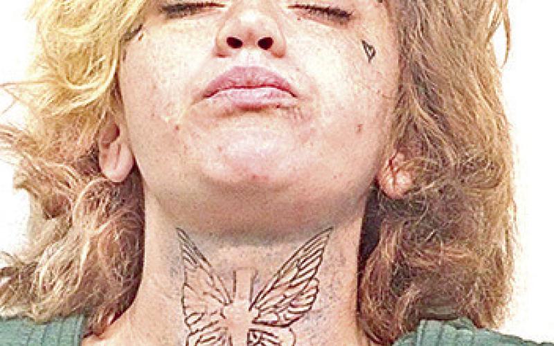 Shelby County Jail Log
