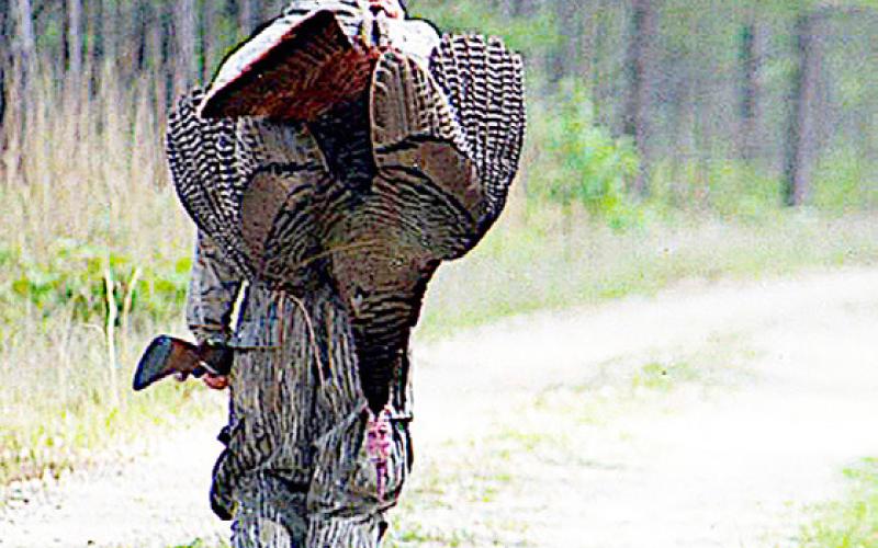Spring turkey seasons are set to coincide with the wild turkey’s breeding season. The idea is to use some sort of call to simulate the sounds of a hen turkey and ultimately lure a gobbler into shotgun range. Photo by Matt Williams