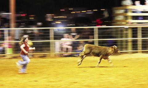 2026 Shelby County Pro Rodeo