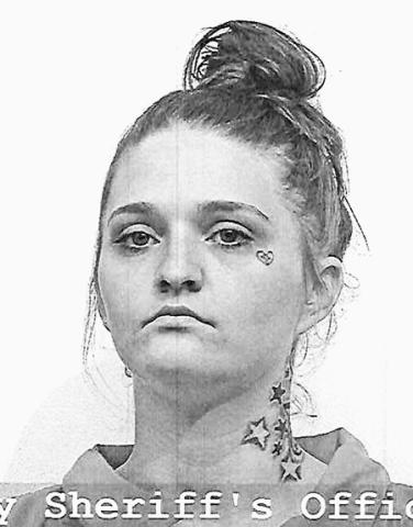 Shelby County Jail Log