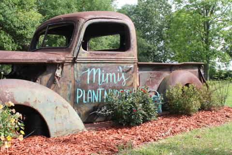 Mimi's Plant Nursery Red Ribbon Cutting Ceremony 