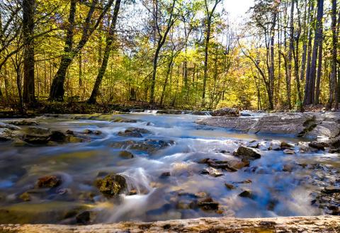 1ST Place tie: Beaver Creek by Anna Jones