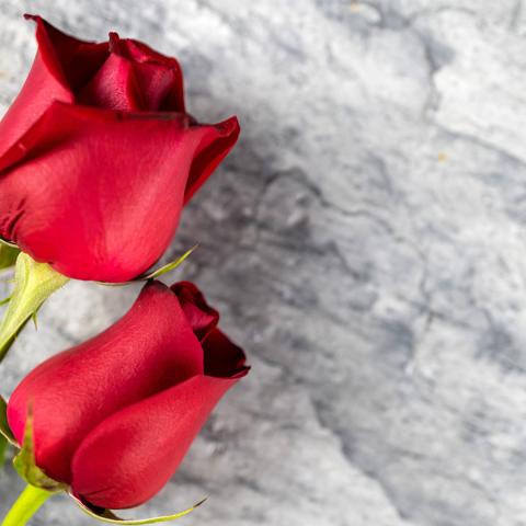 Betty Horton Mitchell, 70 of Timpson