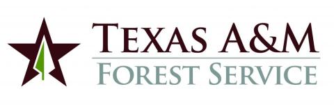 State Wildfire Preparedness Level raised to Level 4 as high fire danger is forecast this week includes Center 