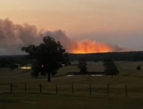 JVFD August 20 - 26 Report: Wild Fires 