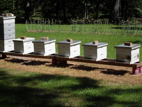 Sabine County Beekeepers November Meeting