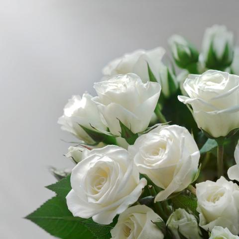 Quinnon Quinnell Gardner (44) of Center, Texas