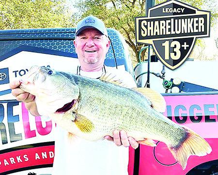 Dale Washington’s 13.38 pounder is the first Legacy Lunker reported from Lake Fork 2021. Washington, who also turned in a Legacy Lunker in 2007, caught his fish blind casting with a Chatterbait and was one of the few anglers who was not actively using forward facing sonar. TPWD Photo