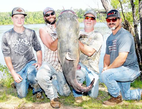 Flathead catfish have lots of aliases. They are frequently referred to as op or yellow cat in these parts. The fish are highly prized among passive fishermen and rod and reelers, alike. Photo by Matt Williams