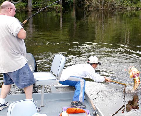 The late Kirk Wolfe battles a solid peacock bass on the Unini River, a tributary of the Amazon River in Brazil. A trip to the Amazon is one that every bass angler should experience at least once in a lifetime. Photo by Matt Williams