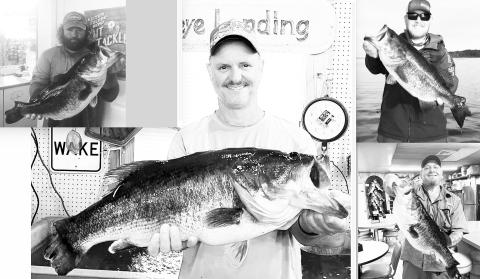 Josh Worth of Grand Junction, Colo. (upper right) was fishing at Toledo Bend in January 2018 when he caught a 9 1/2-pound bass that was pos- sibly the same fish caught by Henry Boudreaux (center) on Aug. 21 and in 2023 by Bernard Fruge (lower right) and Brett Pruitt (upper left).