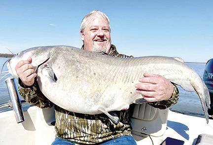 Kevin Williford of Woodville made a trip to Lake Tawakoni in mid-March with high hopes of reeling in a blue catfish heavier than the 72 pounder he caught there seven years ago. Fishing guide Michael Littlejohn delivered the goods by putting the angler on this 74.5 pounder. The fat cat ate a big slab of fresh carp Williford was drifting over an underwater point in about 18 feet of water. Courtesy Photo