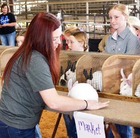 2026 Shelby County Livestock Show