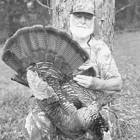 Dale Bounds, a former president of the Texas State Chapter of the National Wild Turkey Federation, recently harvested this mature eastern wild turkey gobbler in Newton County. Bounds, 82, made the hunt despite limited mobility and a torn rotator cuff that prevented him from shouldering his 12-gauge without the aid of a brace. The mature gobbler wore a 9 1/2 inch beard and had one-inch spurs. Photo courtesy of Dale Bounds