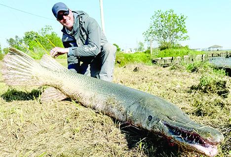 Light line specialist Art Weston with the 153 pound alligator gar he landed on April 8 at Lake Livingston. Caught on 2 pound test line, Weston’s catch is a pending line class record and the heaviest freshwater fish ever landed worldwide using 2 pound line. Courtesy Photo Art Weston