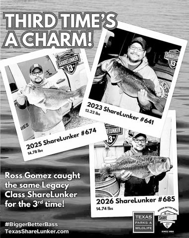 Ross Gomez of Post shocked the bass fishing world on Jan. 22 when he caught a 14.74 pound Toyota Legacy Lunker that was identified as the same fish that he caught in 2023 and 2025. TPWD Photo