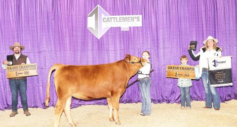 Charlotte Trux, 4th grader at Shelbyville Elementary, and her Akaushi heifer Starburst won Grand Champion Junior Showman and Grand Champion Fullblood Red Wagyu Female at Cattleman’s Congress in Oklahoma City, OK, in January 2026. Charlotte is active with Shelbyville FFA and Shelby County 4H. Starburst was bred by Pearl Wagyu in Center. Submitted | Light and Champion