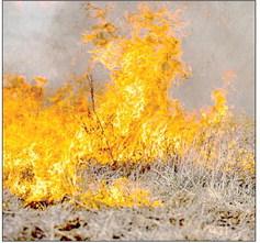 Prepare for wildfires as potential continues