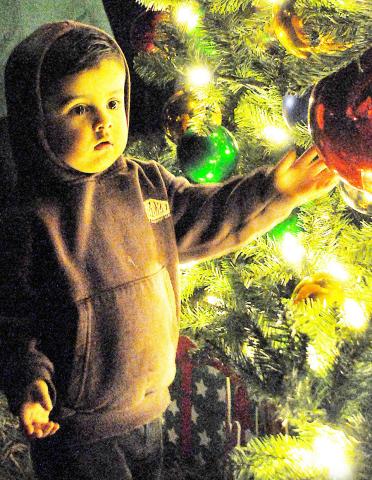 O, Christmas Tree