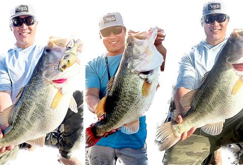 Lawrence Lee of Tolar displays the three Toyota Legacy Lunkers he caught from Lake J.B. Thomas during March. Lee is the first angler in the 40-year history of the program to turn in three Legacy Lunkers during the same collection season. He is also the first to catch two on the same day. TPWD Photos