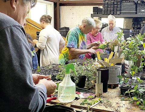 Tenaha native Dr. Andrew King will teach a plant propagation workshop May 9 at SFA.