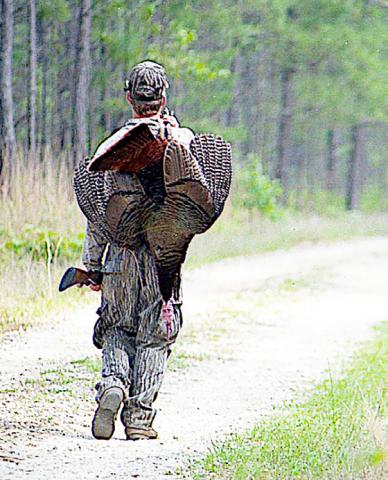 Spring turkey seasons are set to coincide with the wild turkey’s breeding season. The idea is to use some sort of call to simulate the sounds of a hen turkey and ultimately lure a gobbler into shotgun range. Photo by Matt Williams