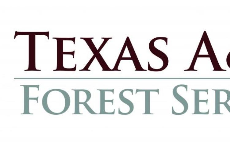 Texas A&M Forest Service warns of fire danger as hot and dry conditions persist