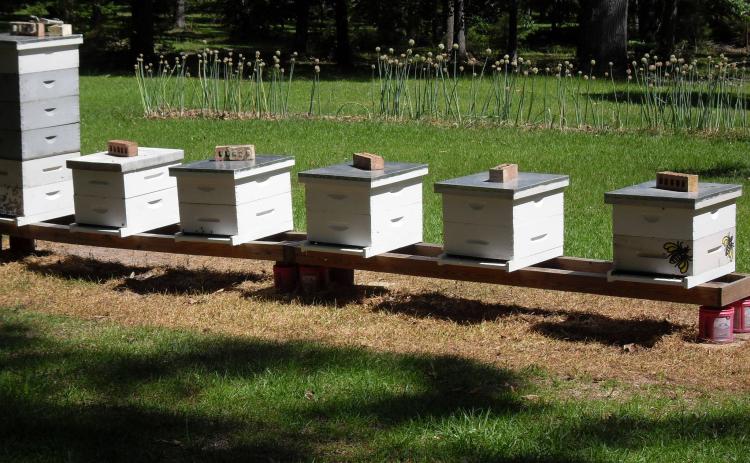 Sabine County Beekeepers October Meeting